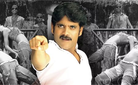 Nagarjuna : నాగార్జున మాస్ ను ప్రమోట్ చేస్తాడా