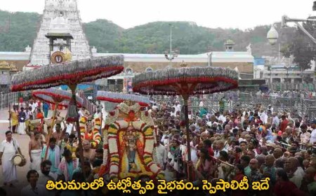 Tirupati : తిరుమలలో ఉట్లోత్సవ వైభవం.. స్పెషాలిటీ ఇదే