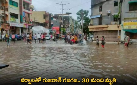 Gujarat : వర్షాలతో గుజరాత్ గజగజ.. 30 మంది మృతి