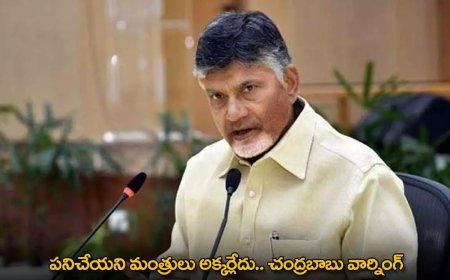 AP CM Chandrababu: పని చేయని అధికారులు, మంత్రులు అక్కర్లేదు-ఏపీ సీఎం చంద్రబాబు వార్నింగ్