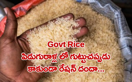 Govt Rice: పిడుగురాళ్ల లో గుట్టుచప్పుడు కాకుండా రేషన్ దందా...