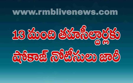 13 మంది తహసీల్దార్లకు షోకాజ్ నోటీసులు జారీ! అసైన్డ్ భూములను ఫ్రీ హోల్డ్ చేయడంలో
