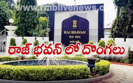 Raj Bhavan: రాజ్ భవన్ లో దొంగలు! చిక్కిన దొంగ