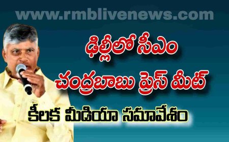 ఢిల్లీ: ఏపీ సీఎం చంద్రబాబు ప్రెస్ మీట్! కీలక స్పీచ్