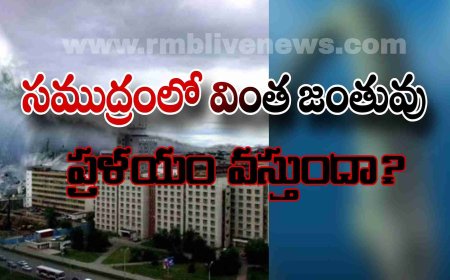 సముద్రంలో వింత జంతువు! ప్రళయం వస్తుందా?