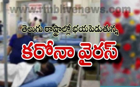 తెలుగు రాష్ట్రాల్లో భయపెడుతున్న కరోనా వైరస్! అలర్ట్