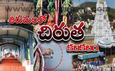 తిరుమలలో చిరుత కలకలం! భయాందోళనలో భక్తులు