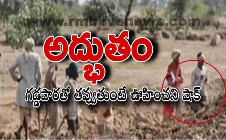 అద్భుతం! గడ్డపారతో తవ్వుతుంటే ఊహించని షాక్!