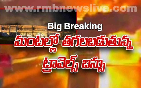 మంటల్లో కాలి బూడిదైన ట్రావెల్స్ బస్సు- పలువురు దుర్మరణం